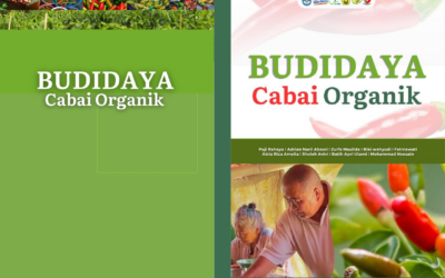 BUDIDAYA CABAI ORGANIK