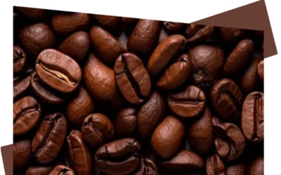 KOPI ROBUSTA (Rahasia Kafein dan Asam Klorogenat di Setiap Tingkat Roasting)