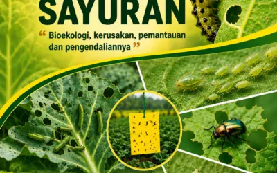 HAMA TANAMAN SAYURAN : “Bioekologi, Kerusakan, Pemantauan, dan Pengendaliannya”